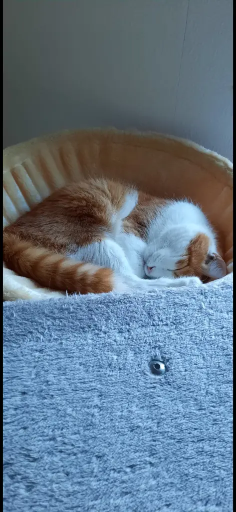 Condolence image of ❤️94 Wo ❤️Deine Mutti und deine Oma ❤️ 