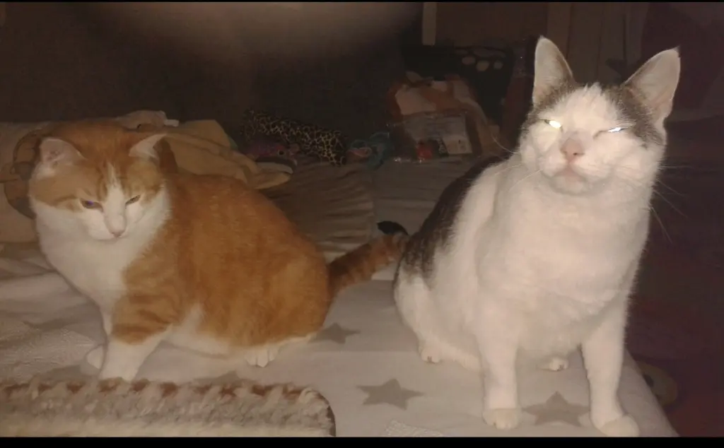 Condolence image of ❤️95 Wo ❤️Deine Mutti und deine Oma ❤️ 