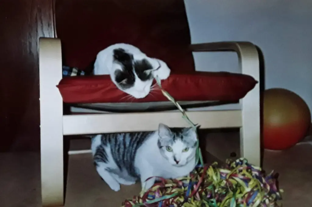 Condolence image of 98 Wo❤️Deine Mutti und deine Oma ❤️ 