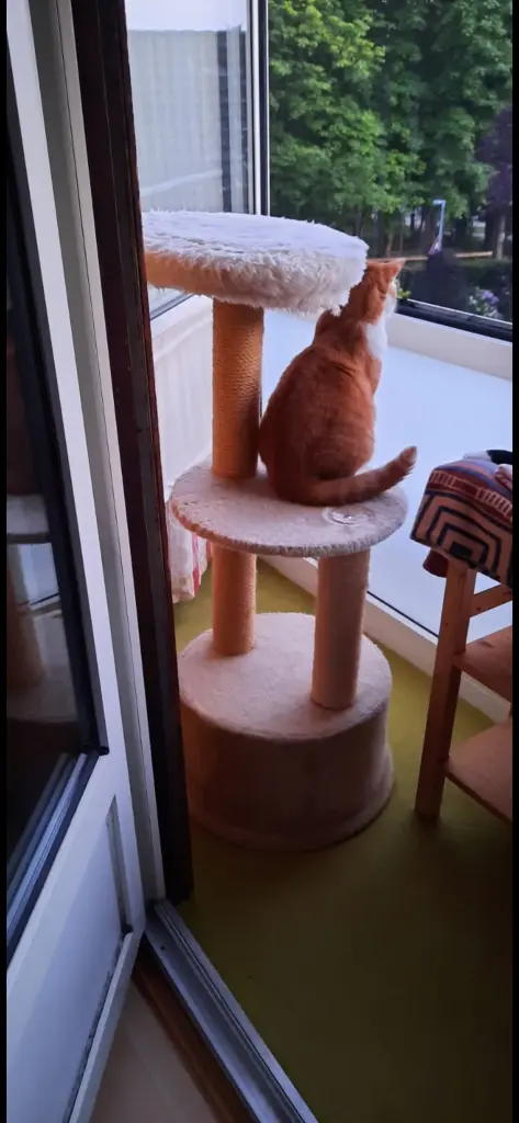 Condolence image of ❤️99 Wo❤️Deine Mutti und deine Oma ❤️ 