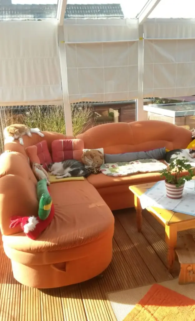 Condolence image of ❤️102 Wo ❤️Deine Mutti und deine Oma ❤️ 