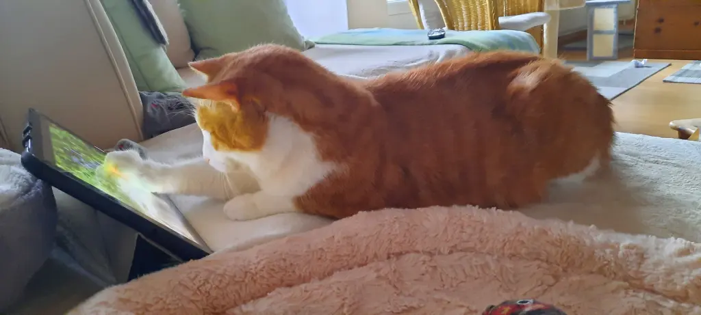 Condolence image of ❤️103 Wo❤️Deine Mutti und deine Oma ❤️ 