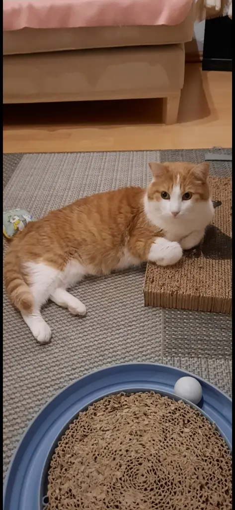 Condolence image of ❤️104 Wo❤️Deine Mutti und deine Oma ❤️ 