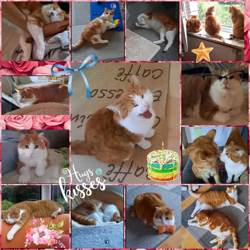 Condolence image of ❤️2. Sternchengeburtstag ❤️ Paulimanni Drummelchen ❤️Deine Mutti und deine Oma ❤️ 