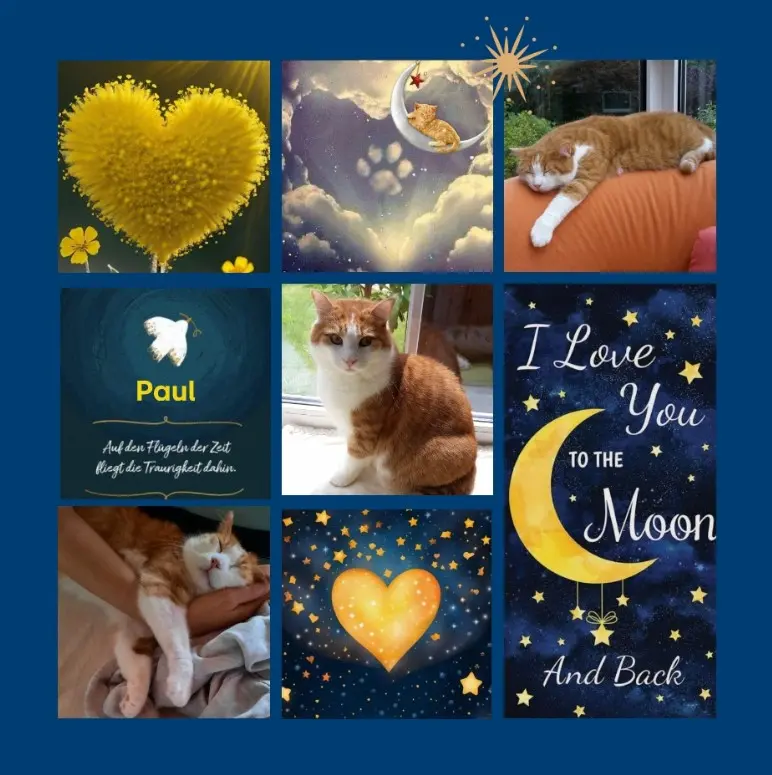 Condolence image of Rosen für Pauli zum 2. Sternchengeburtstag