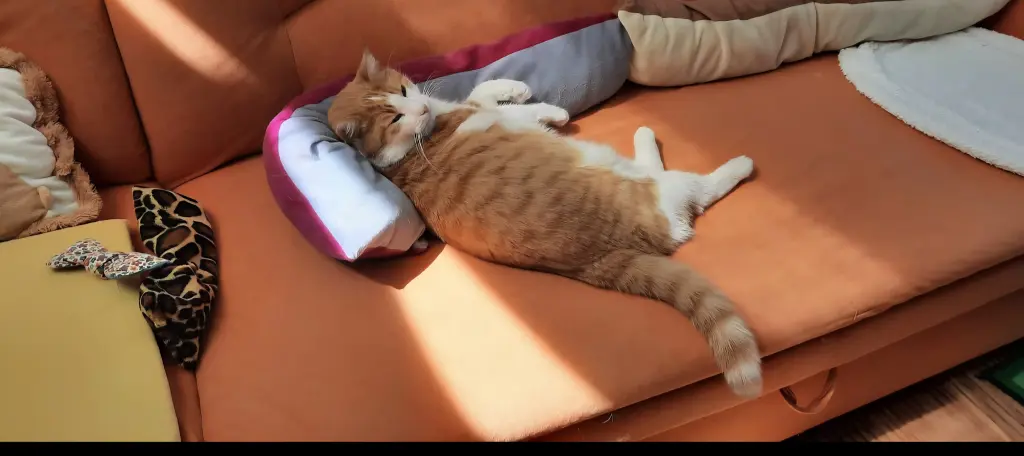 Condolence image of ❤️105 Wo ❤️Deine Mutti und deine Oma ❤️ 