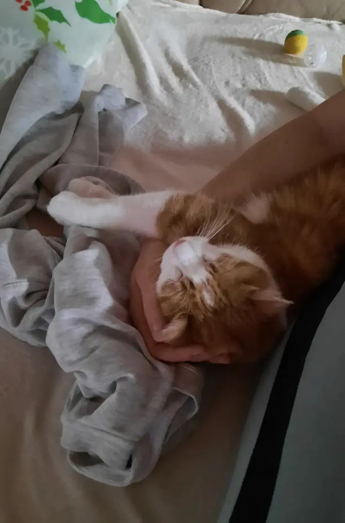 Condolence image of ❤️106 Wo❤️Deine Mutti und deine Oma ❤️ 