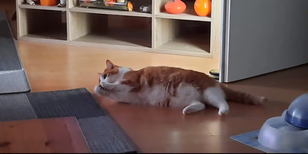 Condolence image of ❤️107 Wo❤️Deine Mutti und deine Oma ❤️ 