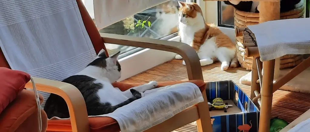 Condolence image of ❤️108 Wo❤️Deine Mutti und deine Oma ❤️ 