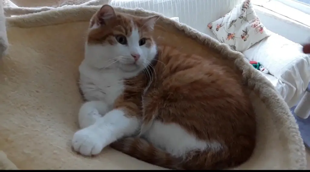 Condolence image of ❤️109 Wo ❤️Deine Mutti und deine Oma ❤️ 