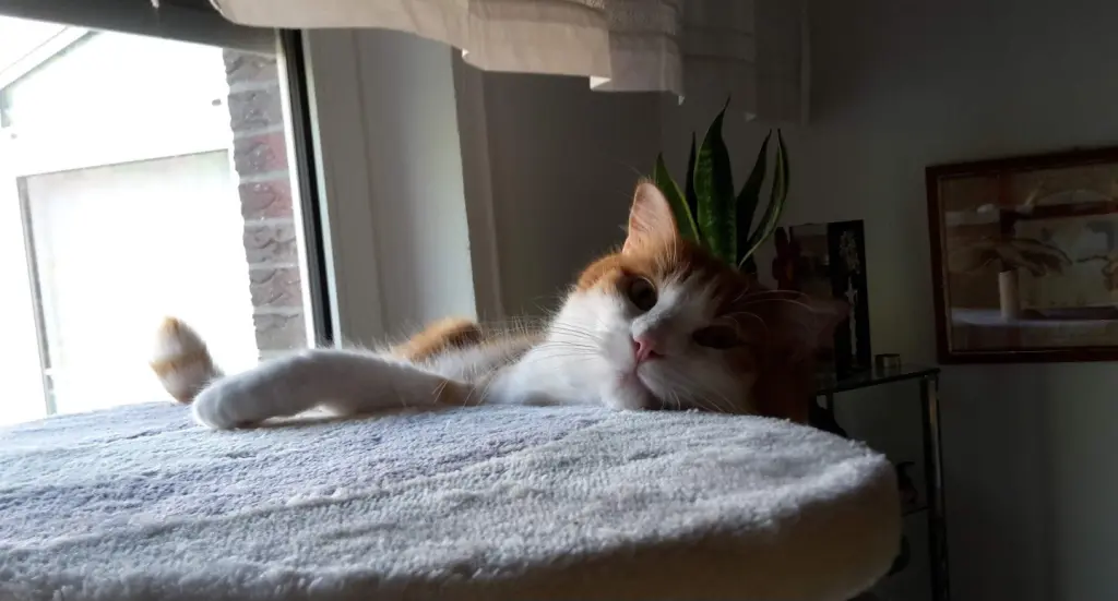 Condolence image of ❤️110 Wo❤️Deine Mutti und deine Oma ❤️ 