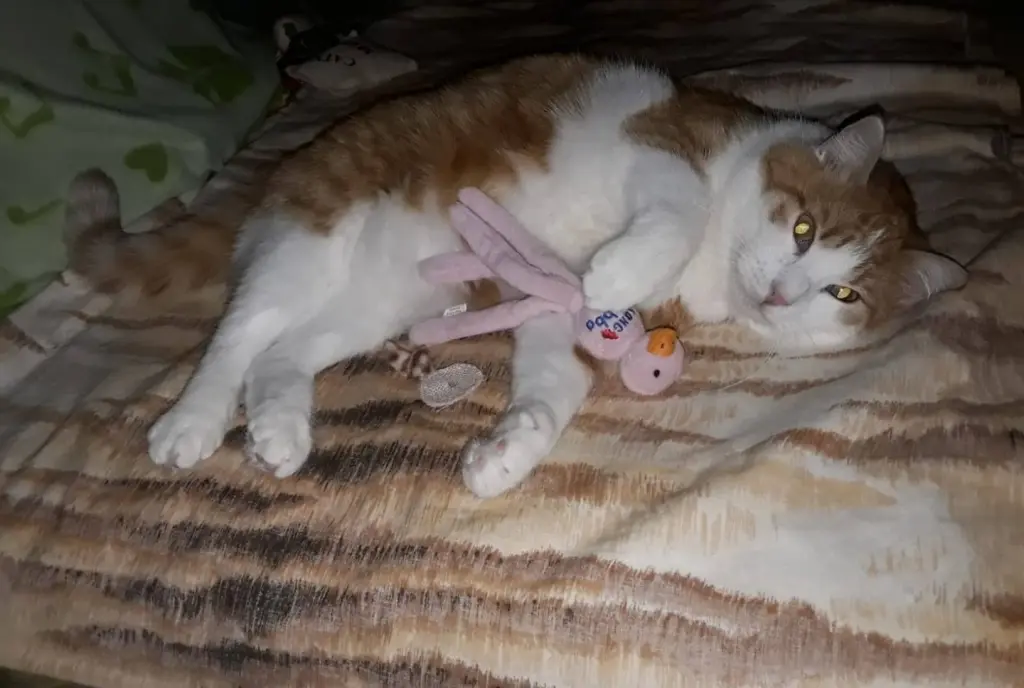 Condolence image of ❤️112 Wo❤️Deine Mutti und deine Oma ❤️ 