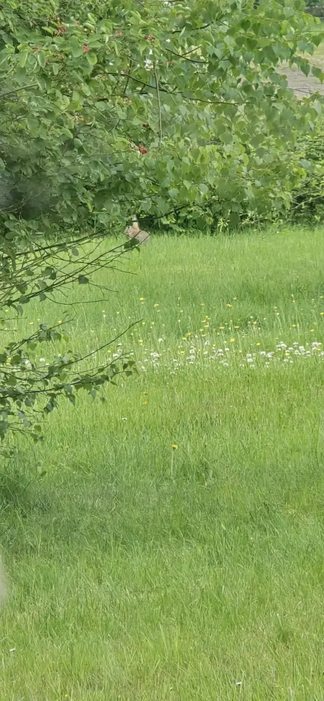 Condolence image of ❤️26 Mo❤️Deine Mutti und deine Oma ❤️ 