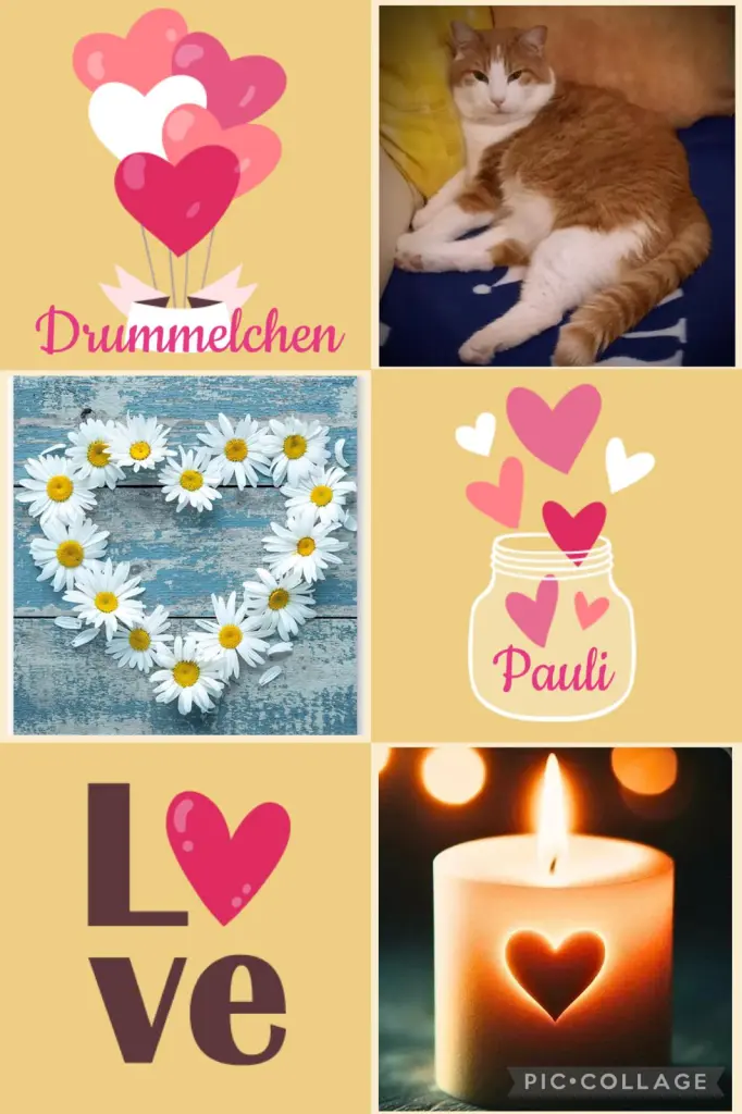 Condolence image of ❤️27 Mo❤️Deine Mutti und deine Oma ❤️