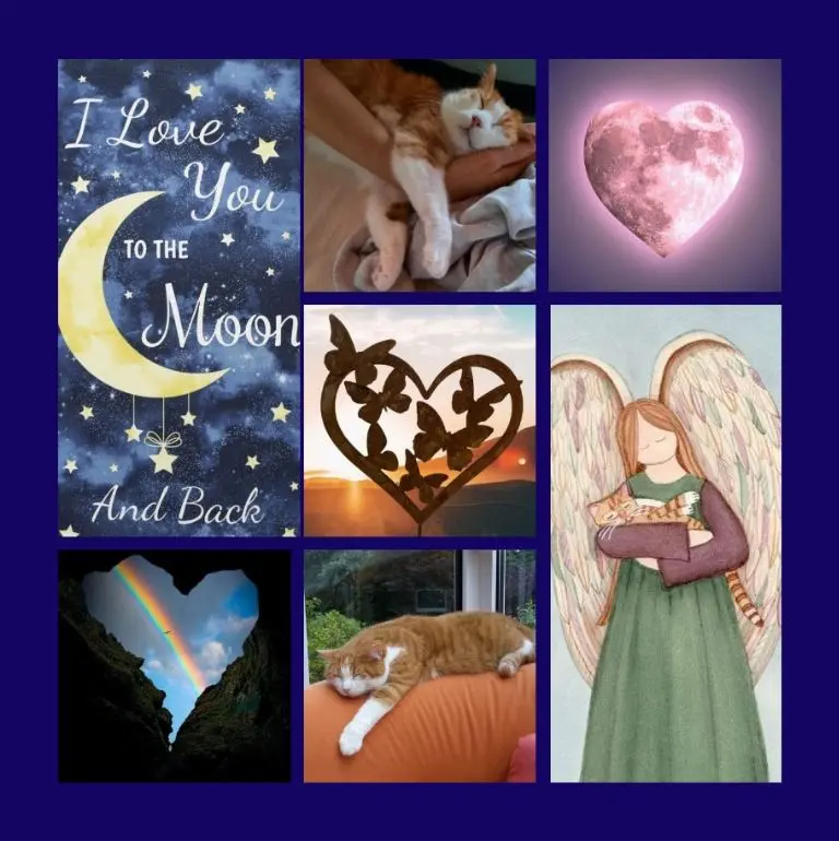 Condolence image of Eine Sonntagsrose für Paul