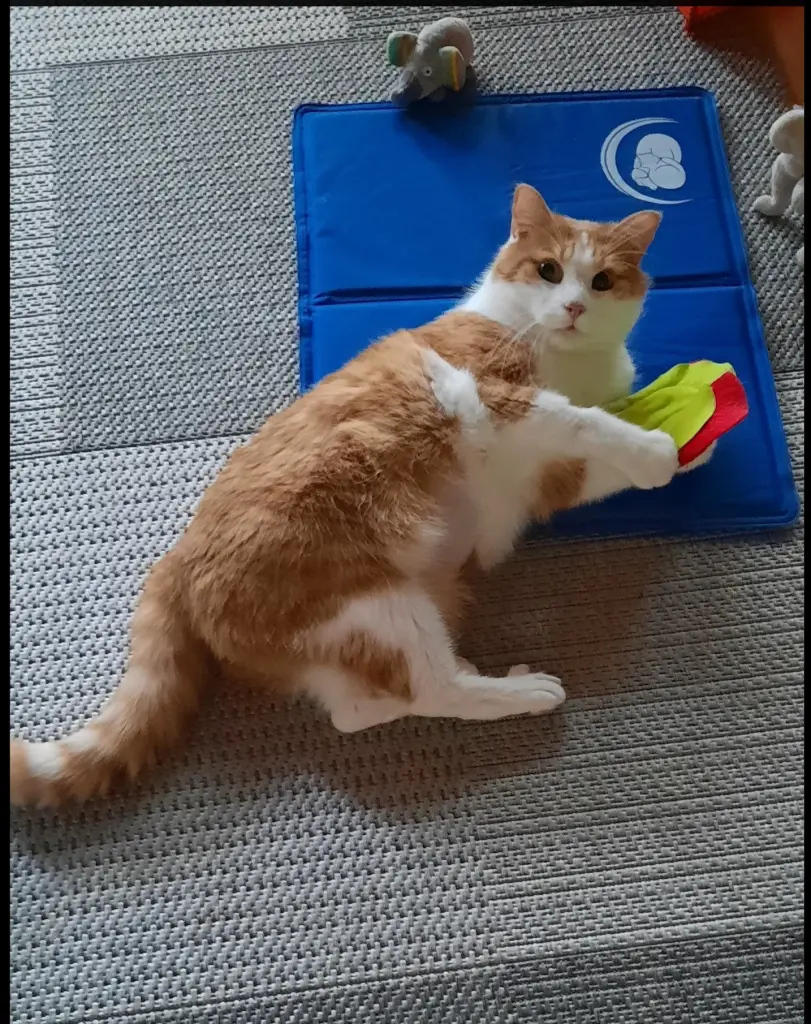 Condolence image of ❤️28 Mo❤️Deine Mutti und deine Oma ❤️ 