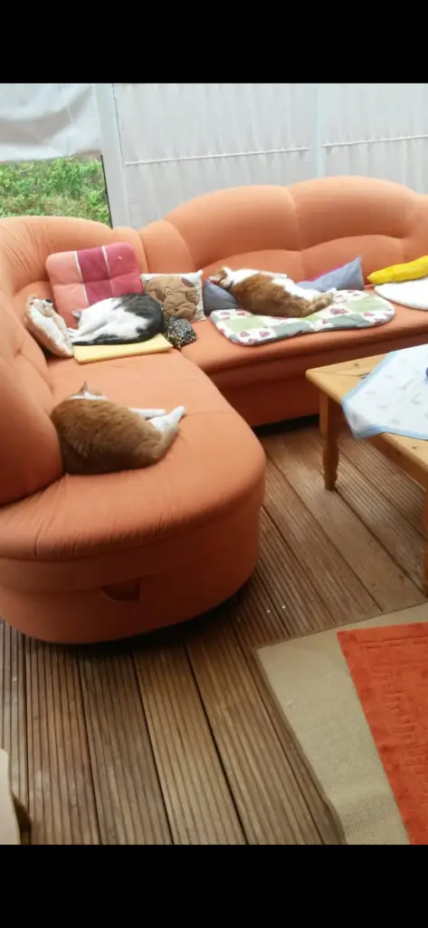 Condolence image of ❤️123 Wo❤️Deine Mutti und deine Oma ❤️ 