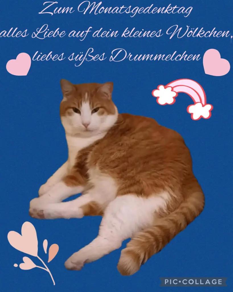 Condolence image of ❤️29 Mo❤️Deine Mutti und deine Oma ❤️