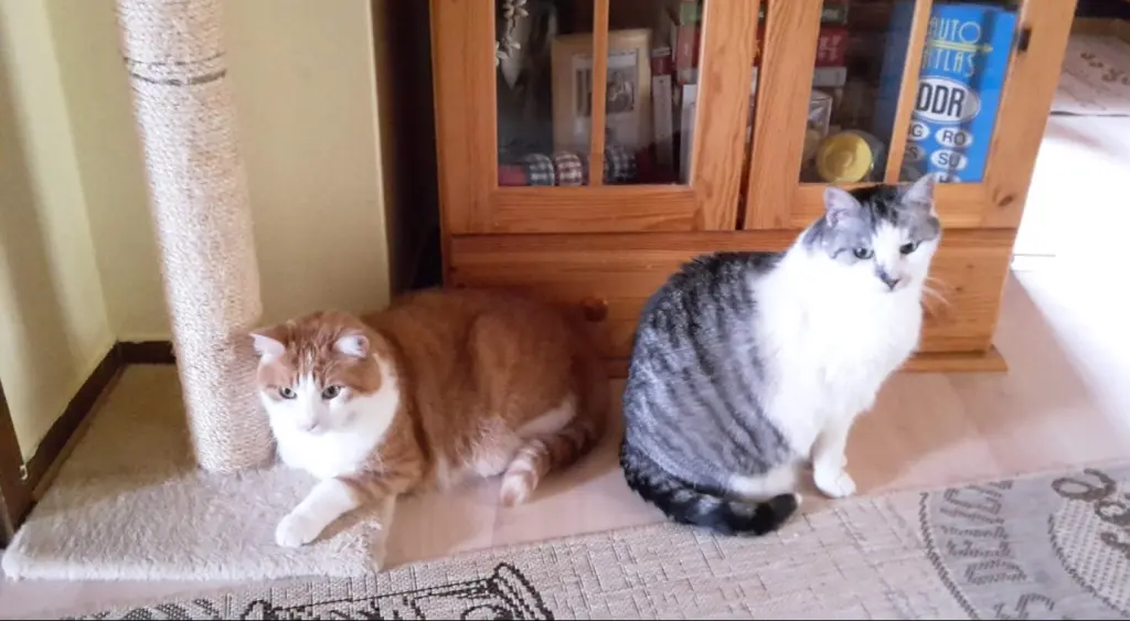 Andachtsbild von ❤️129 Wo❤️Deine Mutti und deine Oma ❤️