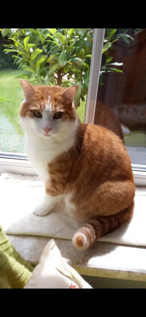 Andachtsbild von ❤️132 Wo❤️Deine Mutti und deine Oma ❤️