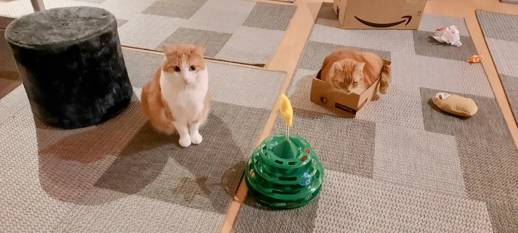 Andachtsbild von ❤️133 Wo❤️Deine Mutti und deine Oma ❤️