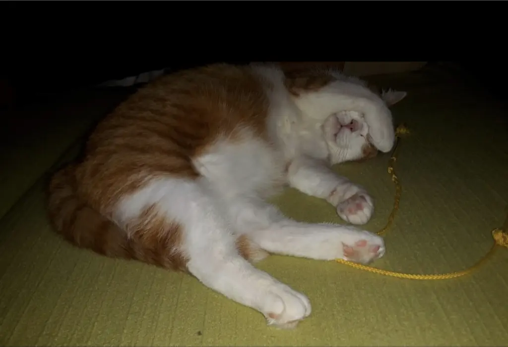 Condolence image of ❤️134 Wo❤️Deine Mutti und deine Oma ❤️