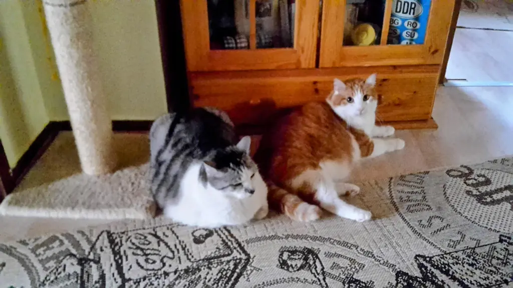 Condolence image of ❤️31 Mo❤️Deine Mutti und deine Oma ❤️