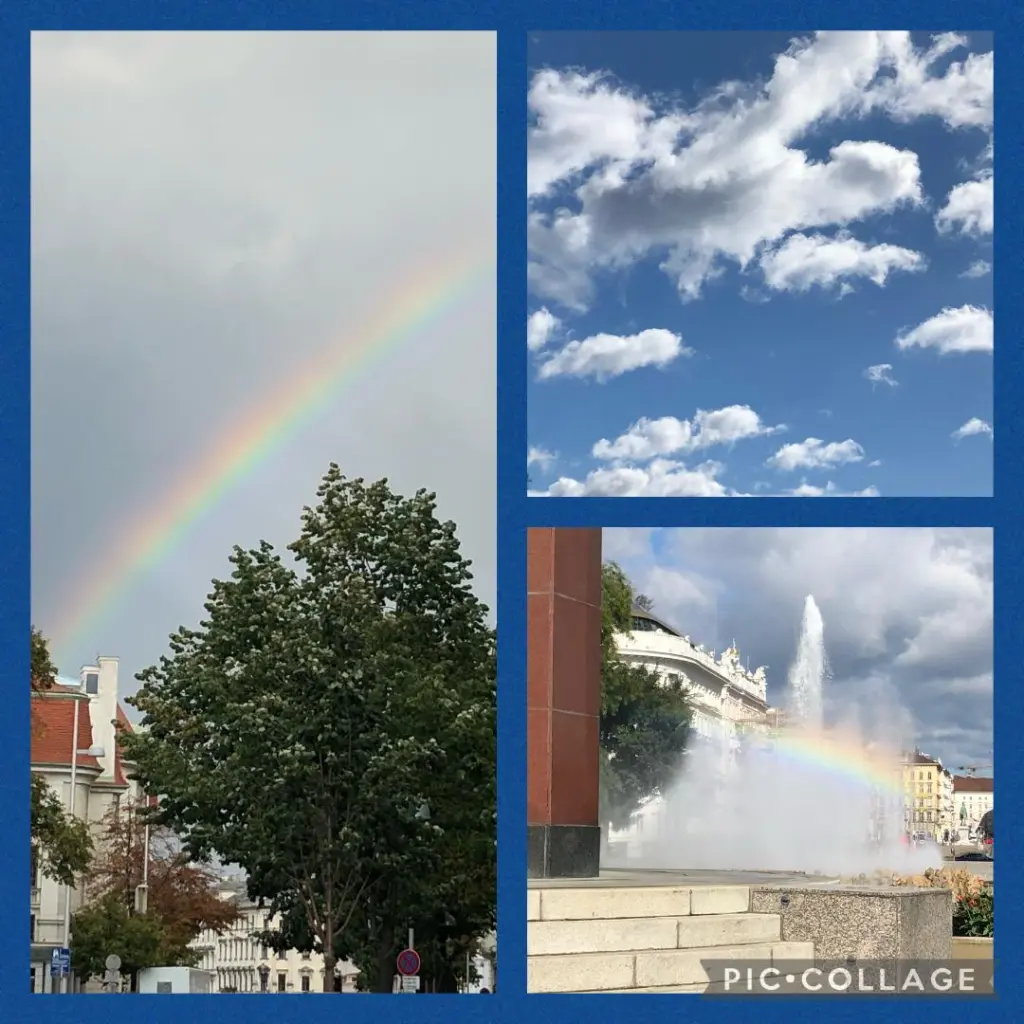 Condolence image of Sonntagsröschen für Pauli