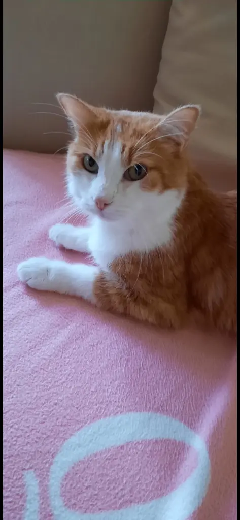 Condolence image of ❤️137 Wo❤️Deine Mutti und deine Oma ❤️