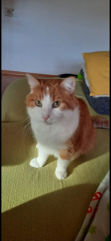 Andachtsbild von ❤️139 Wo❤️Deine Mutti und deine Oma ❤️