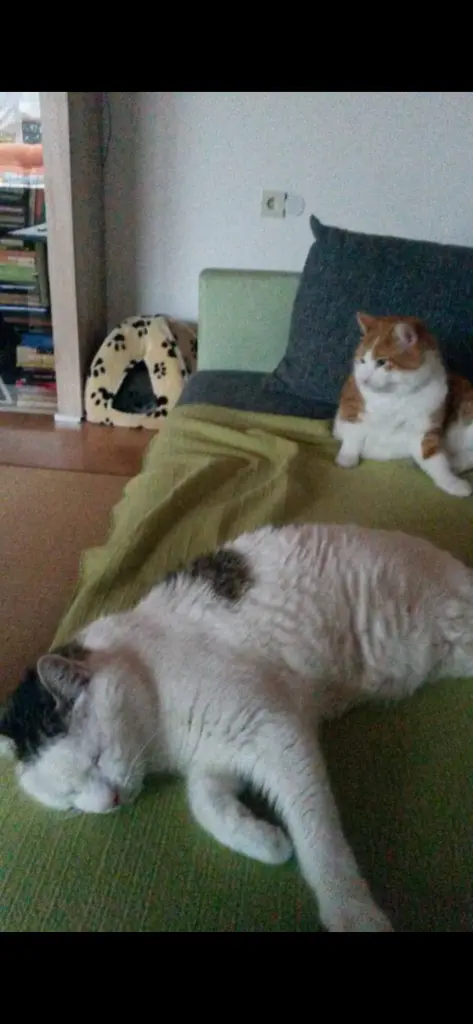 Andachtsbild von ❤️32 Mo❤️Deine Mutti und deine Oma ❤️