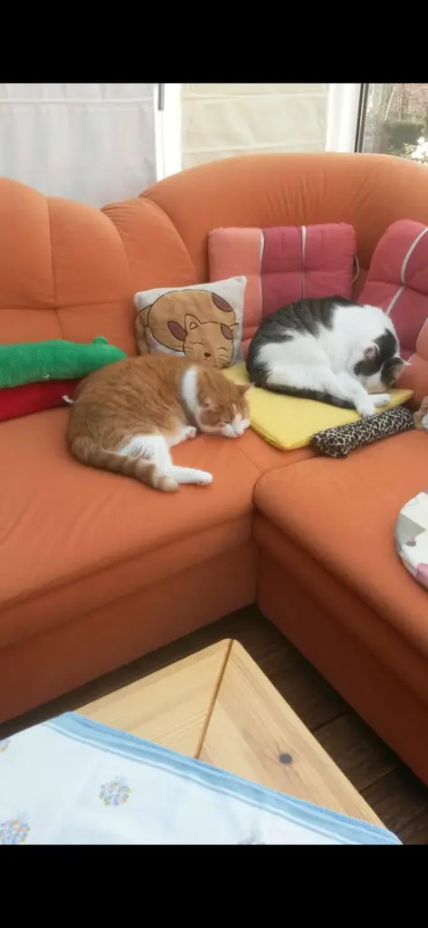 Andachtsbild von ❤️140 Wo❤️Deine Mutti und deine Oma ❤️