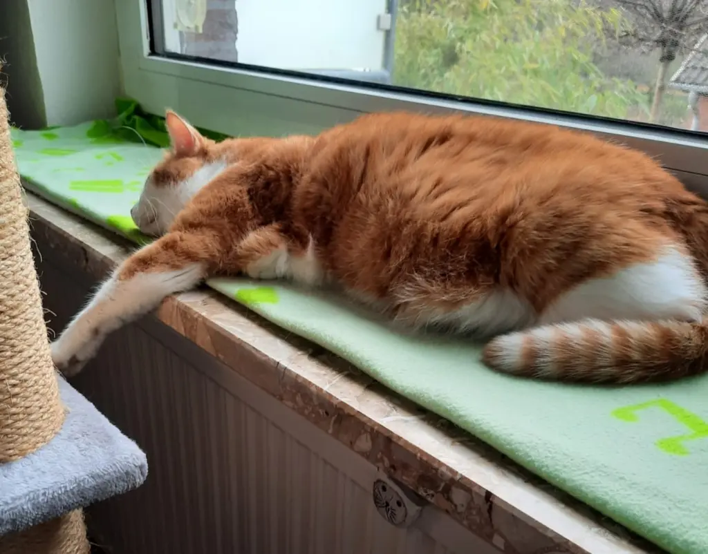 Andachtsbild von ❤️141 Wo❤️Deine Mutti und deine Oma ❤️