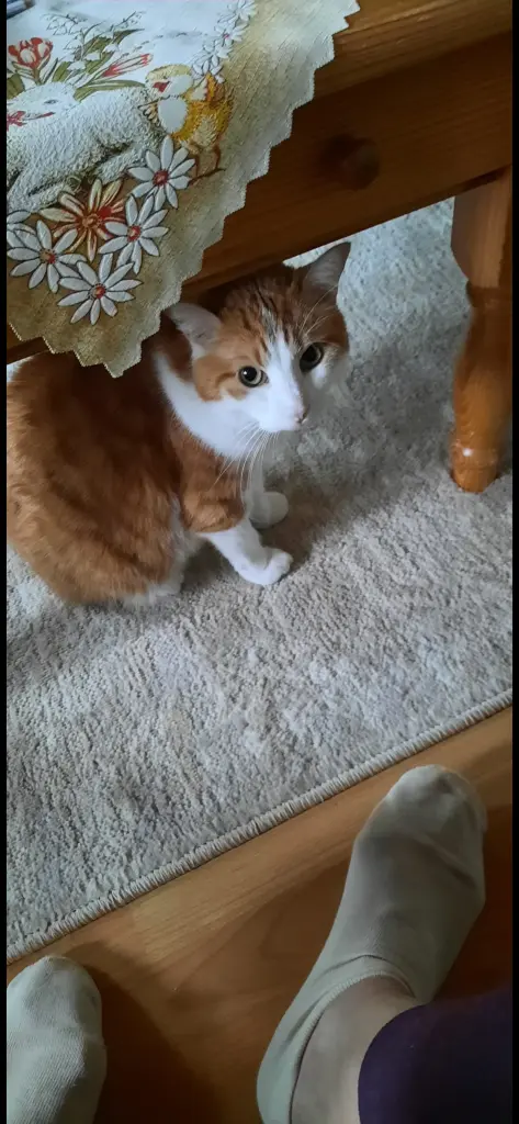 Andachtsbild von ❤️142 Wo❤️Deine Mutti und deine Oma ❤️