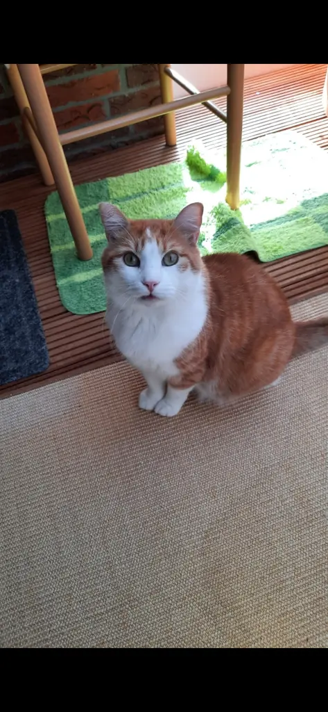 Andachtsbild von ❤️143 Wo❤️Deine Mutti und deine Oma ❤️