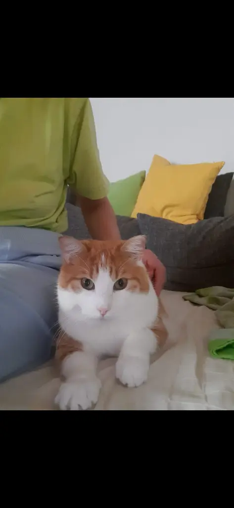 Andachtsbild von ❤️144 Wo❤️Deine Mutti und deine Oma ❤️