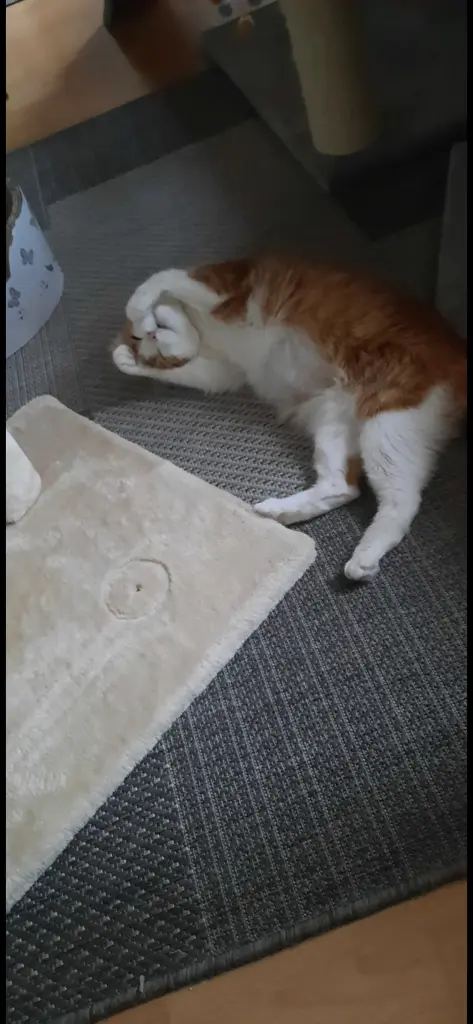 Andachtsbild von ❤️147 Wo❤️Deine Mutti und deine Oma❤️