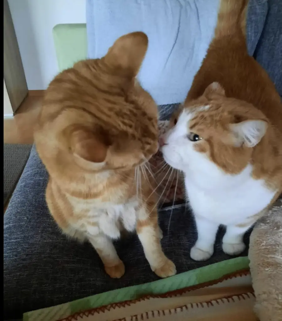 Andachtsbild von ❤️148 Wo❤️Deine Mutti und deine Oma ❤️