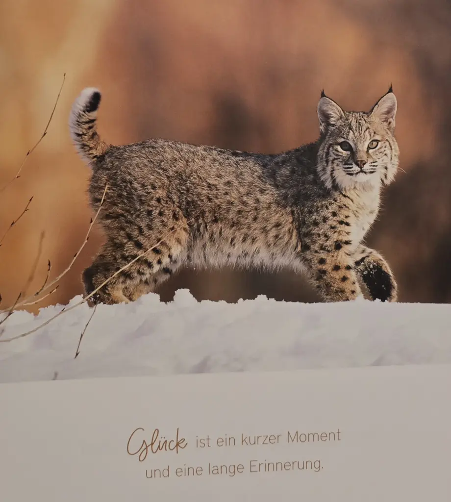 Andachtsbild von ❤️149 Wo❤️Deine Mutti und deine Oma ❤️