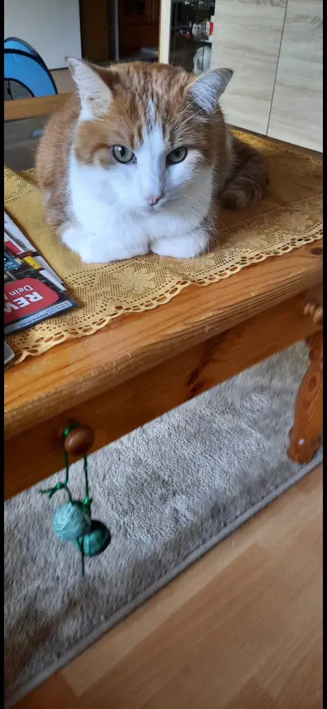 Condolence image of ❤️150 Wo❤️Deine Mutti und deine Oma ❤️