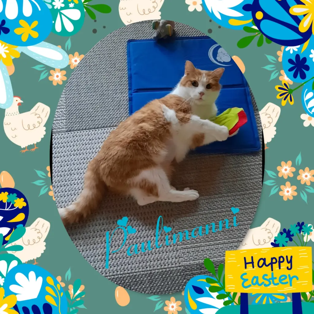 Condolence image of 💐Frohe Ostern 💐Paulimanni ❤️