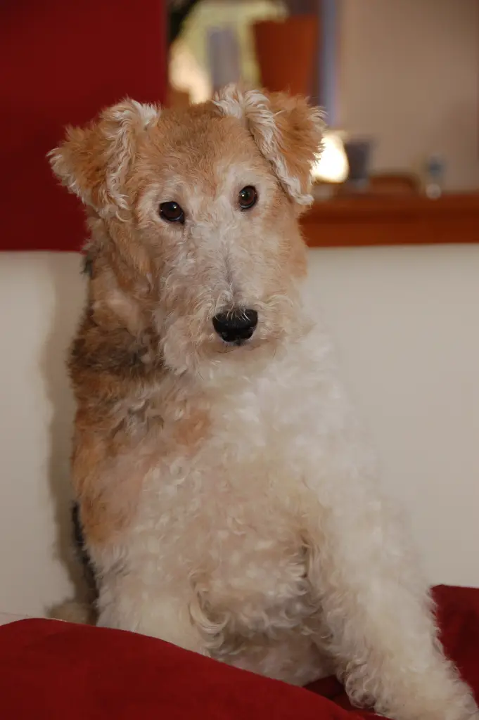 Condolence image of Marianne