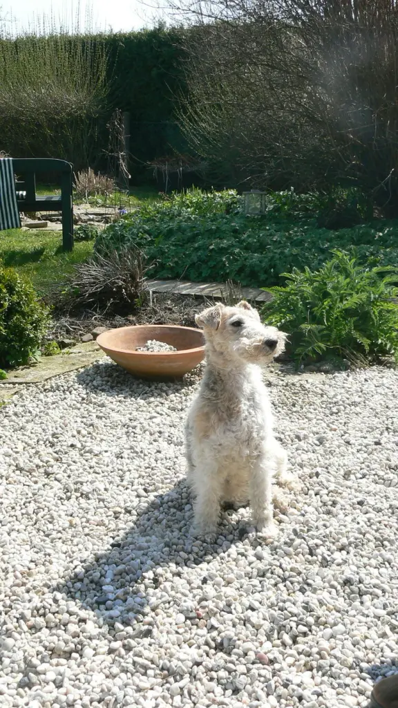 Condolence image of Deine Menschen und Tilda