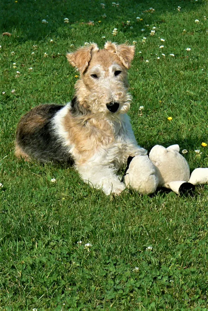 Condolence image of Marianne