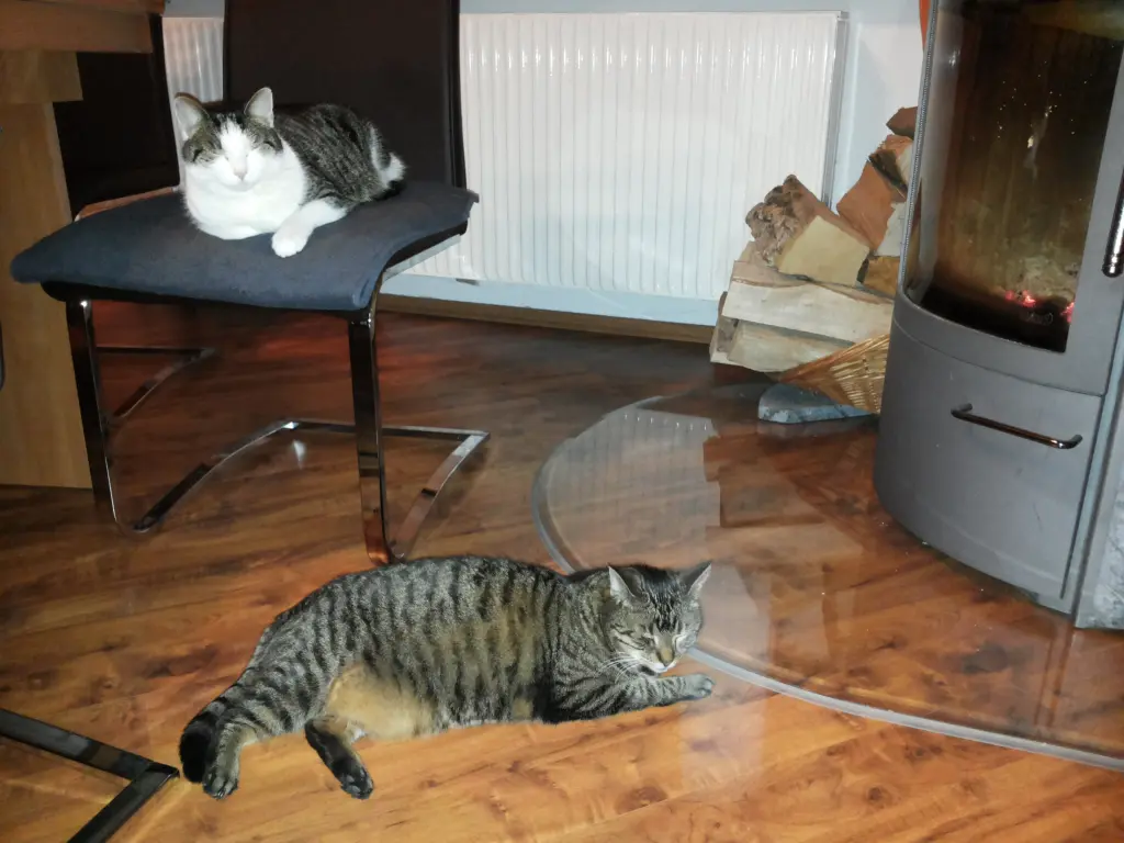 Image from Leni-Fliege