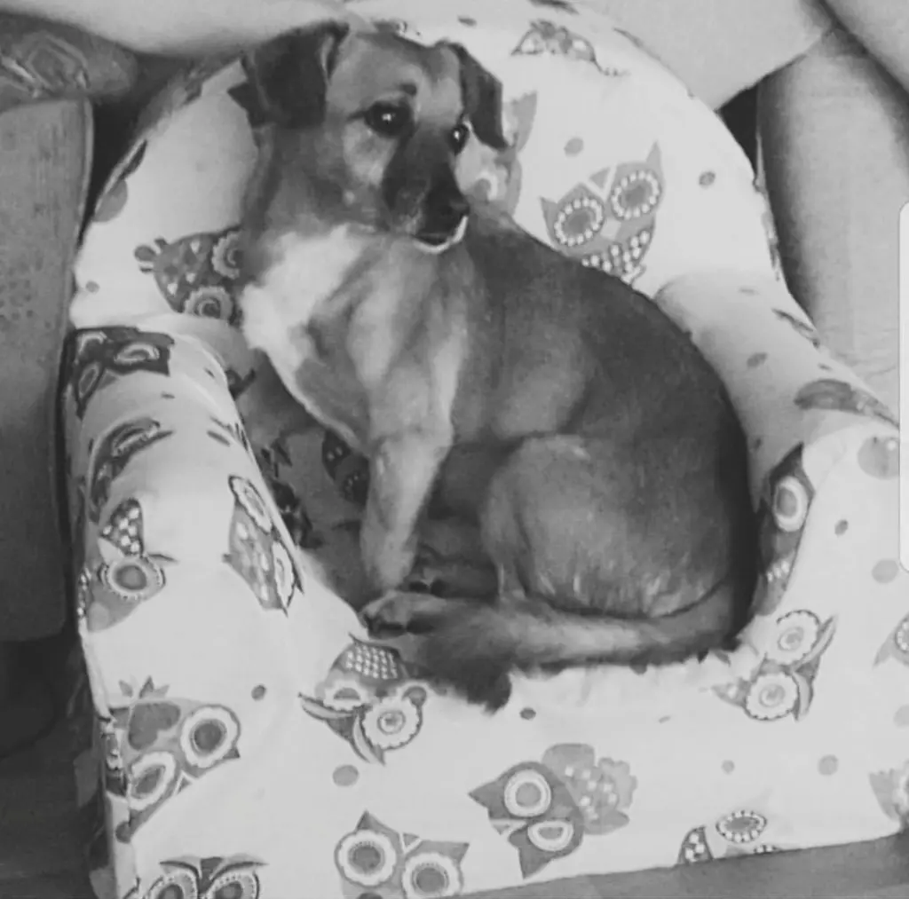 Condolence image of Vanessa