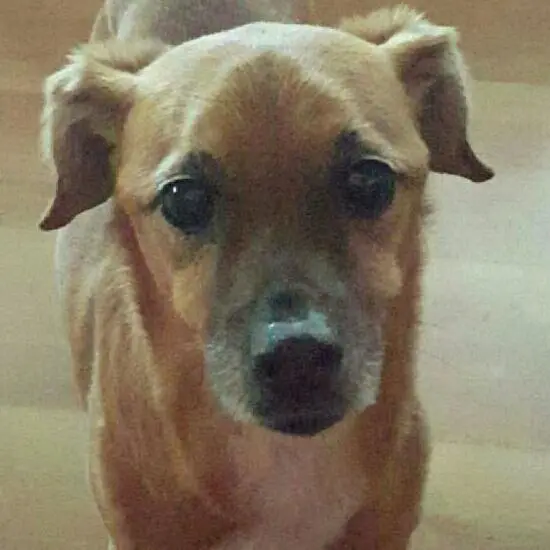 Condolence image of Ilona