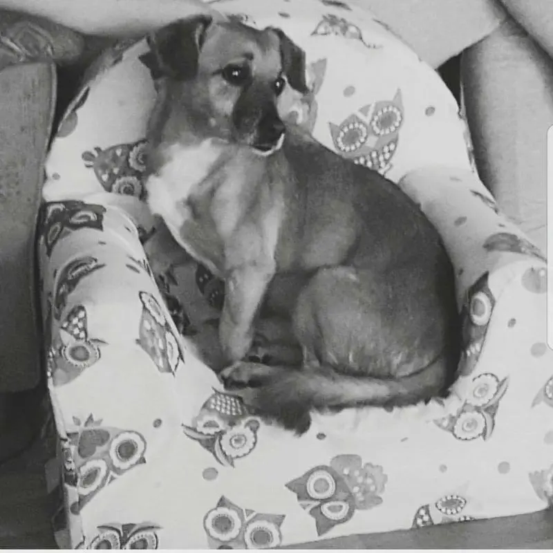 Condolence image of Nessa