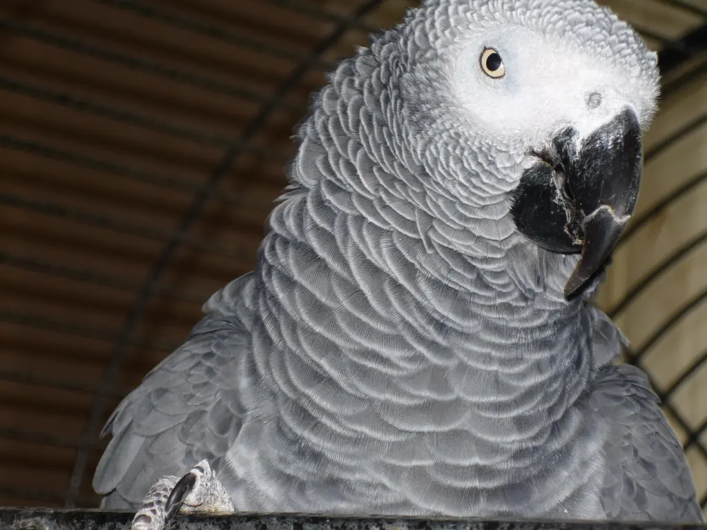 Condolence image of Jutta