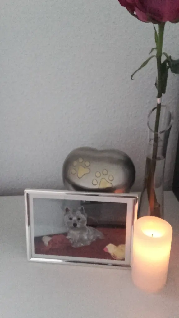 Condolence image of Sigrid